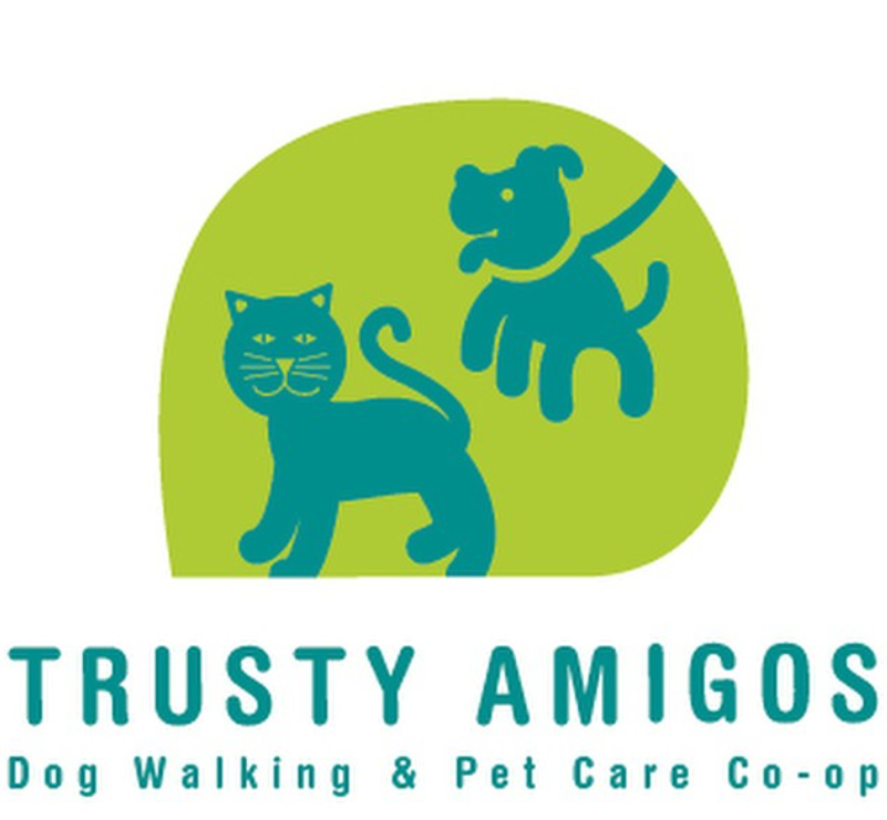 New York: Dog Walking with Sean Casey Animal Rescue